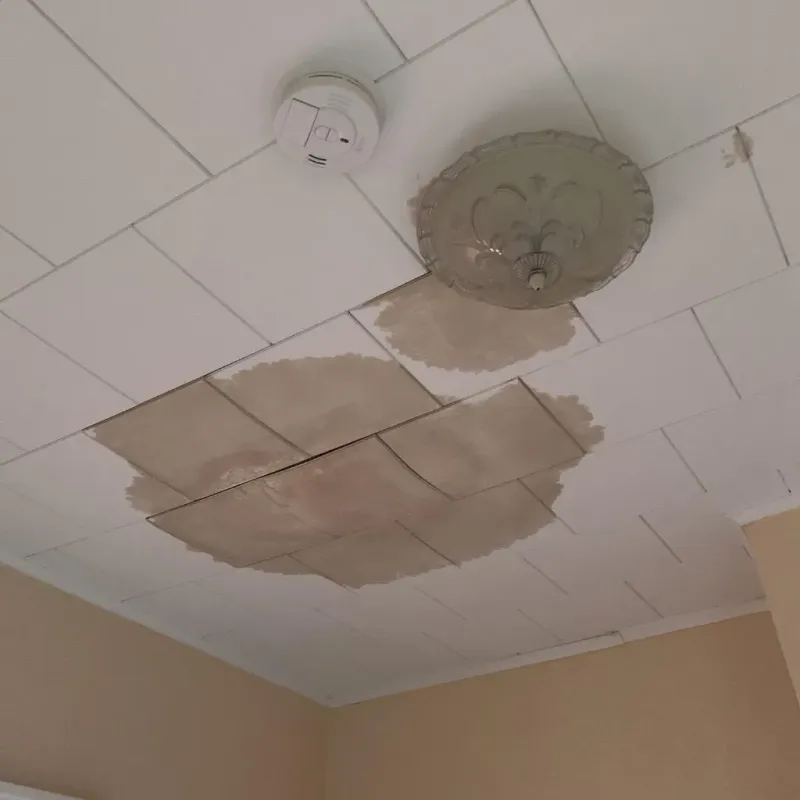 Ceiling Water Damage Repair in Sussex County, NJ