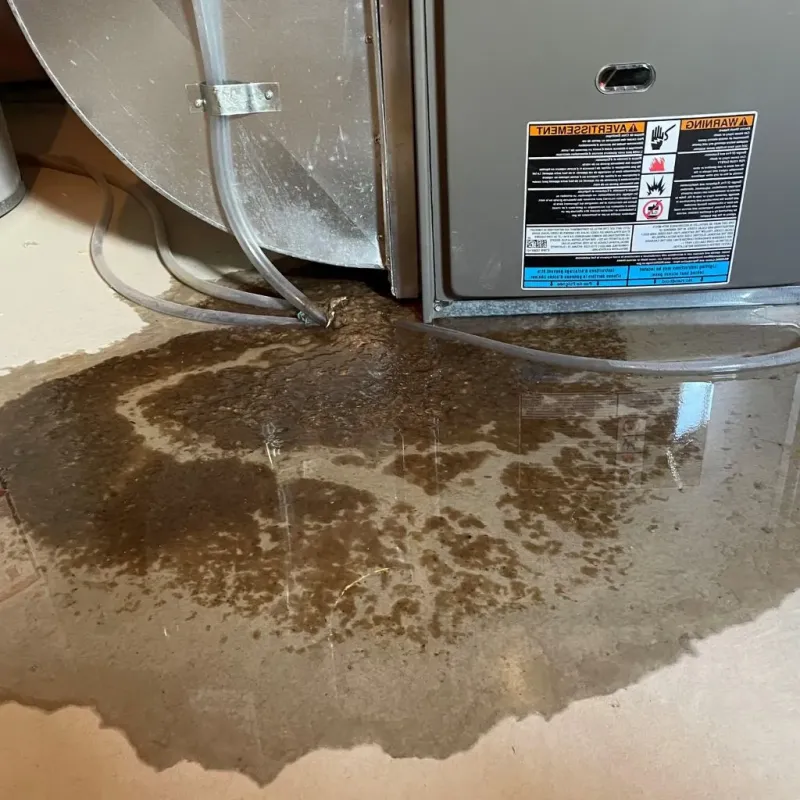Pipe Burst and Leak Restoration in Sussex County, NJ