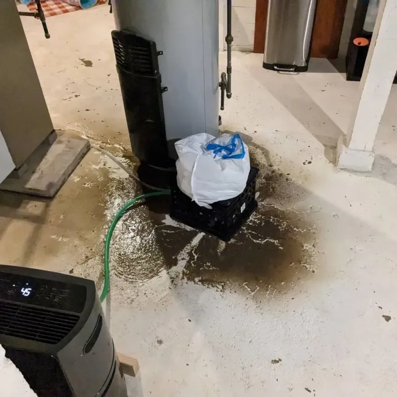 Sewage Backup Cleanup Service in Sussex County, NJ
